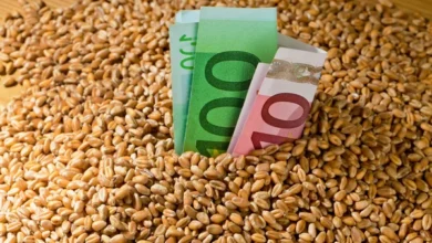 Латвия может ввести 300% пошлины на зерно из России и Беларуси / depositphotos