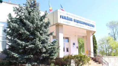В Гагаузии с 21 сентября начнут принимать документы от кандидатов на пост башкана / nokta.md
