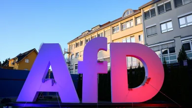 Weidel a declarat că Ucraina a pierdut războiul: de ce cursul prorusesc al AfD este periculos pentru Germania și pentru întreaga Europă/RBC