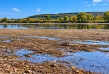 Nistrul a secat pe alocuri: în Republica Moldova, râul poate fi traversat pe jos / ecology.md