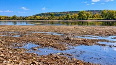 Nistrul a secat pe alocuri: în Republica Moldova, râul poate fi traversat pe jos / ecology.md