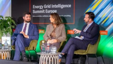 Moldova a evitat o pană totală de curent în contextul atacurilor rusești și al avariilor din sistemul energetic — ministrul Energiei / moldova1.md