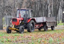 Fermierii au obținut câștig de cauză: TVA-ul la cereale și culturi oleaginoase nu va fi majorat/depositphotos