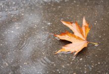 Cod galben de ploi: Meteorologii au emis avertizare pentru toată țara/depositphotos