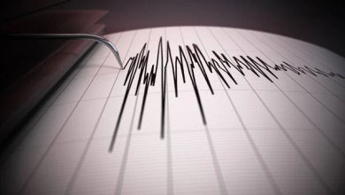В сейсмической зоне Вранча произошло землетрясение магнитудой 4,0. Подземные толчки ощутили и в Молдове/depositphotos