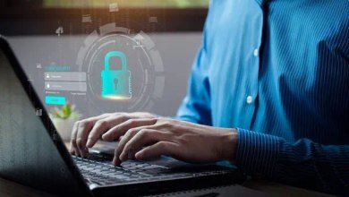 Maia Sandu convoacă Consiliul Suprem de Securitate din cauza unui atac cibernetic de amploare/depositphotos
