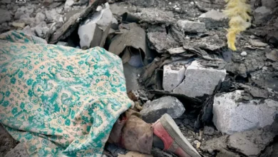 “Подарок” российскому диктатору - новый террор против мирного населения Украины / dsns.gov.ua
